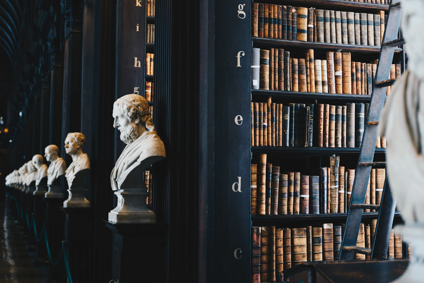 A long library of leather-bound law books with marble busts lining the shelves