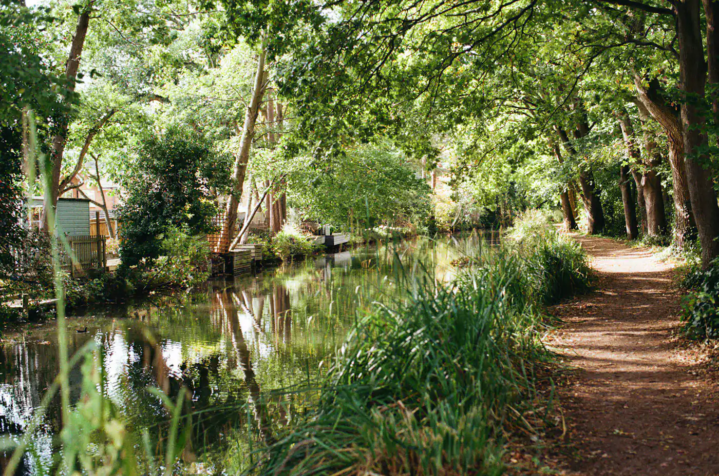 A tree-lined path beside the Basingstoke Canal